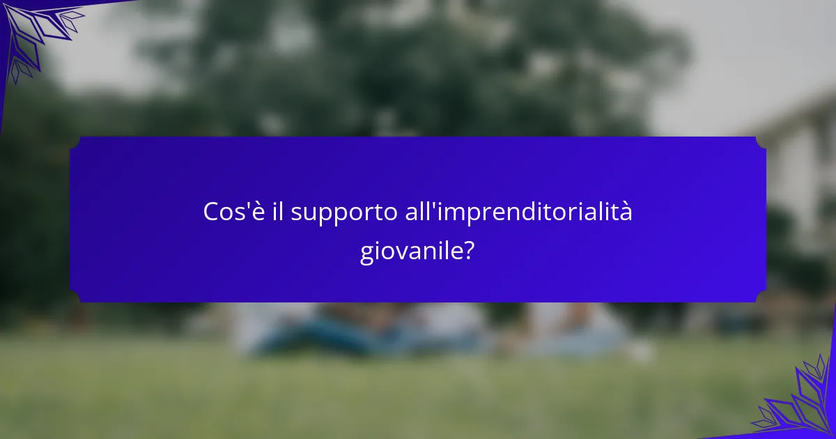 Cos'è il supporto all'imprenditorialità giovanile?